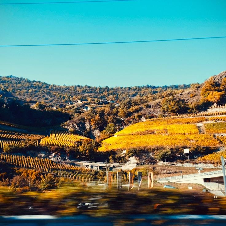 Outdoor terrace seating suitable for families in London